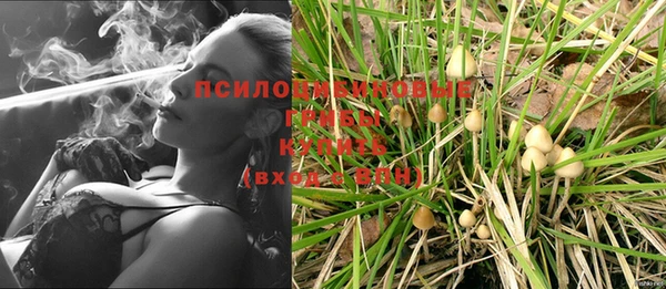 амфетамин Елизово