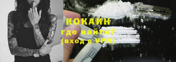 СК Ельня