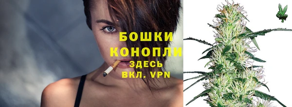 гидропоника Елабуга