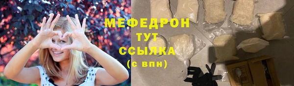 СК Ельня