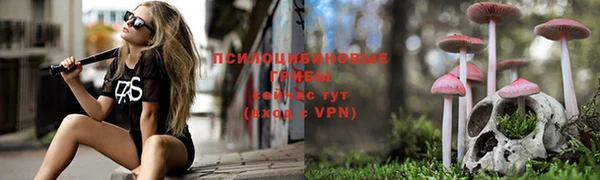 СК Ельня