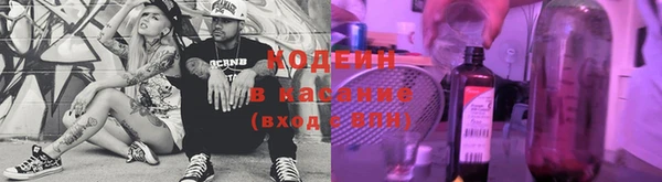 гидропоника Елабуга