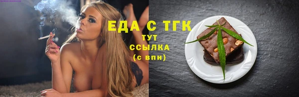 СК Ельня