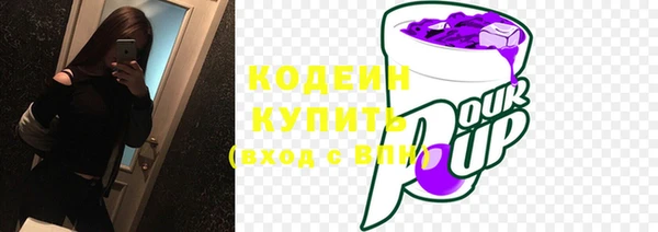 СК Ельня