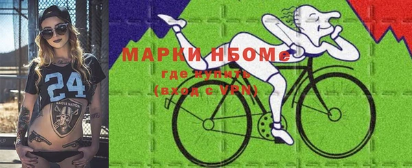 СК Ельня