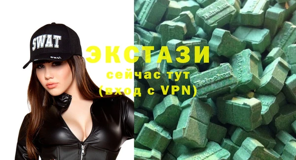 СК Ельня