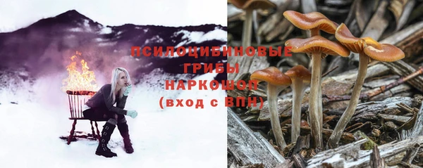 гидропоника Елабуга