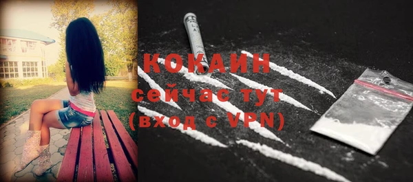 СК Ельня